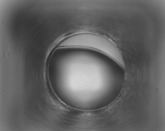 X0000075840152200609150921