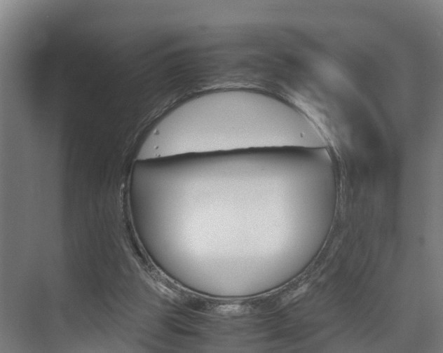 X0000075840153200609150921