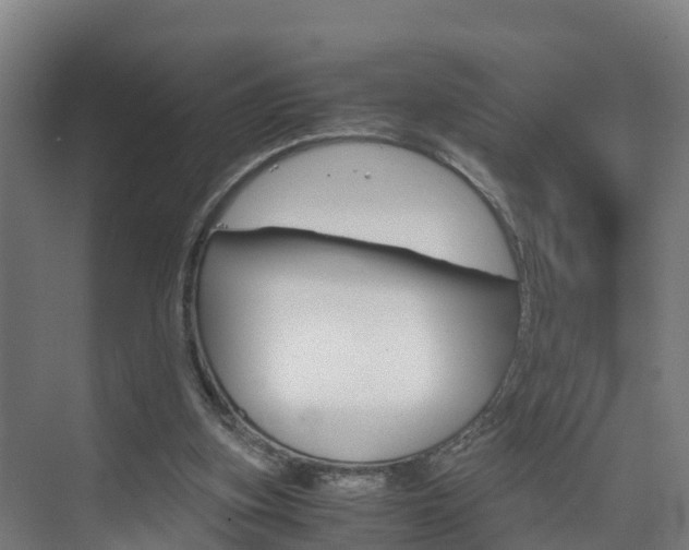 X0000075840155200609150921