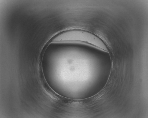 X0000075840156200609150921