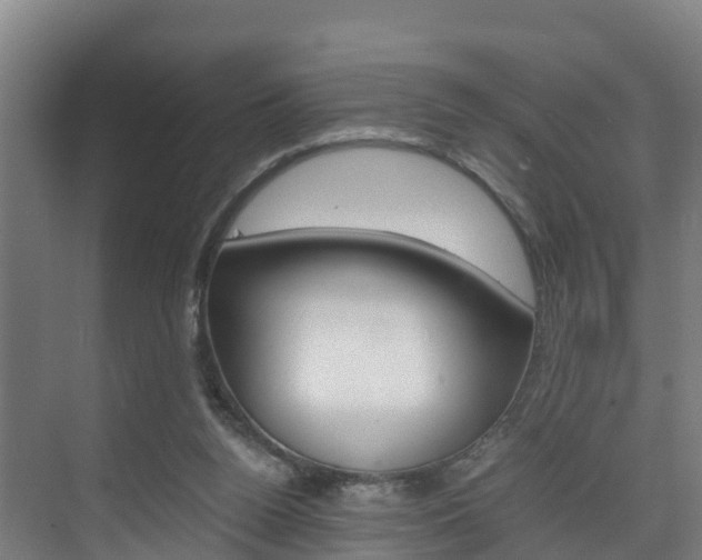 X0000075840160200609150921