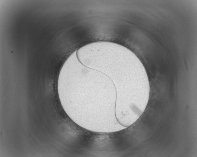 X0000075840162200609150921