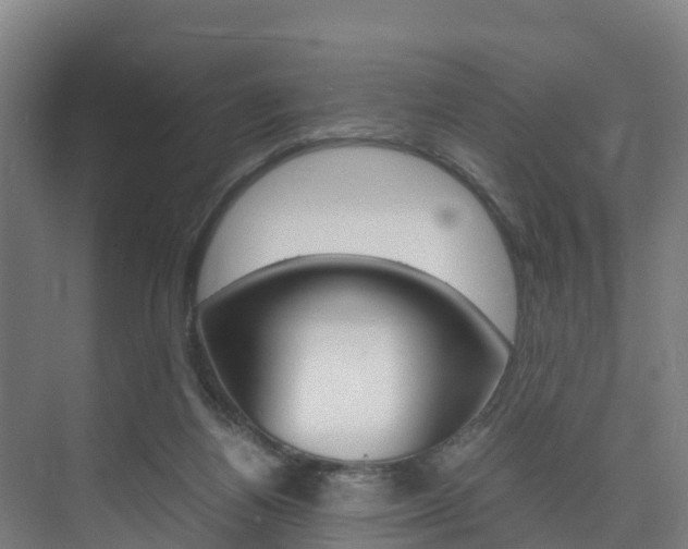 X0000075840164200609150921