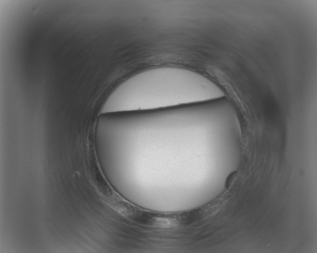 X0000075840167200609150921