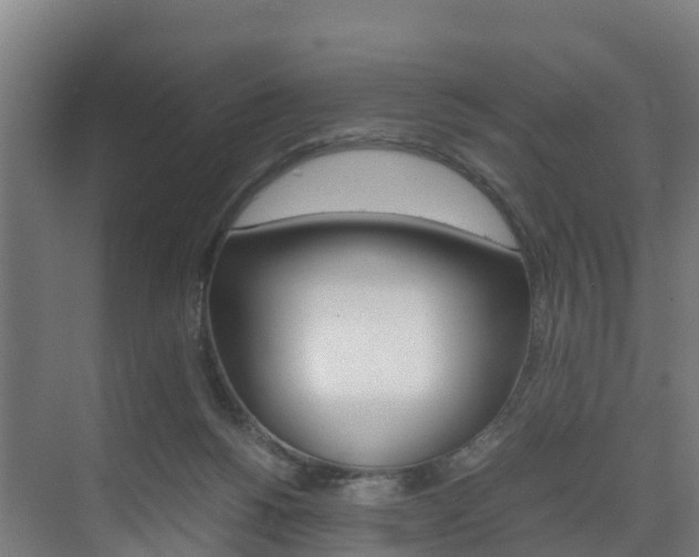 X0000075840168200609150921