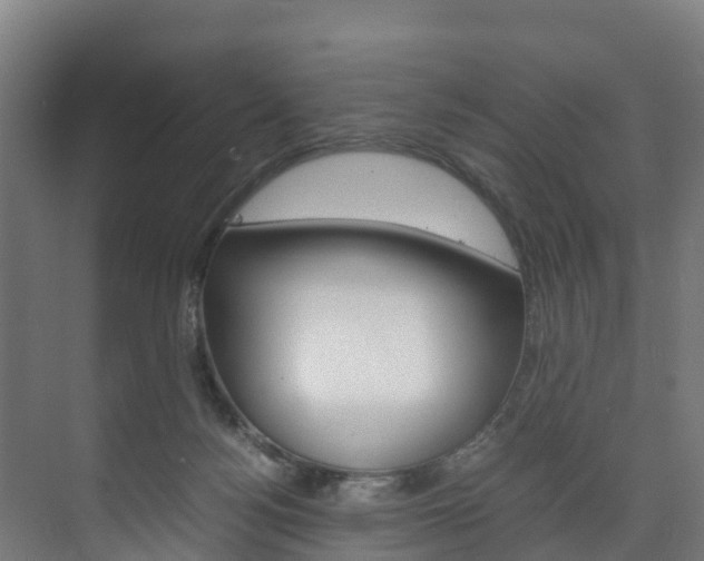 X0000075840172200609150921