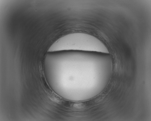 X0000075840173200609150921