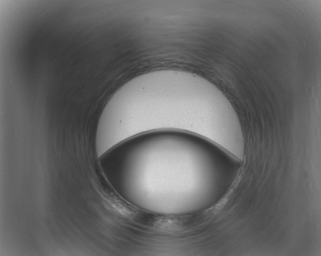 X0000075840174200609150921