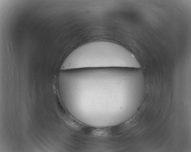 X0000075840175200609150921