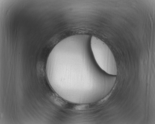 X0000075840178200609150921