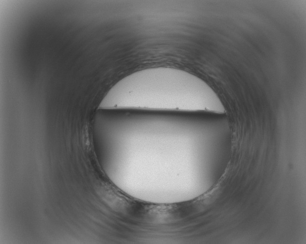 X0000075840182200609150921