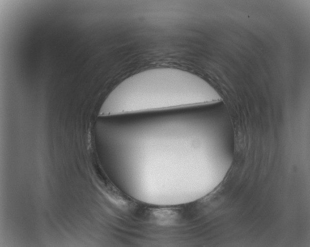 X0000075840183200609150921