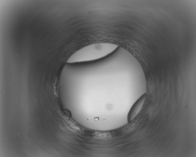 X0000075840185200609150921