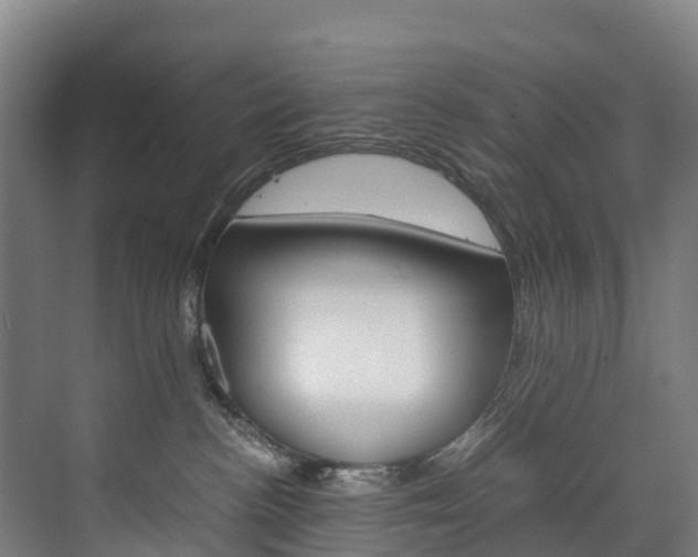 X0000075840188200609150921