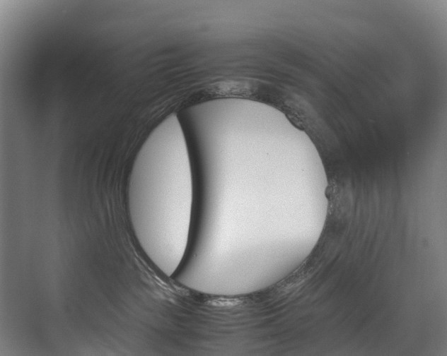 X0000075840189200609150921