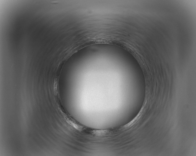 X0000075840192200609150921