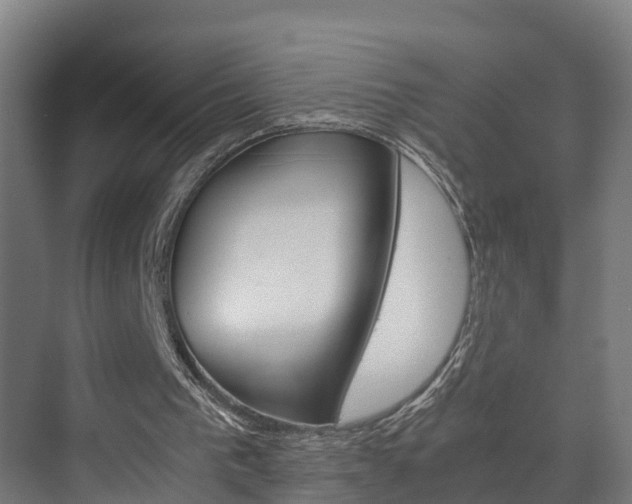 X0000075840193200609150920