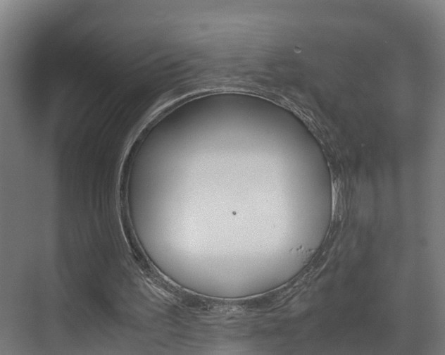 X0000075840195200609150920