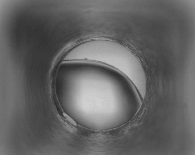 X0000075840197200609150920