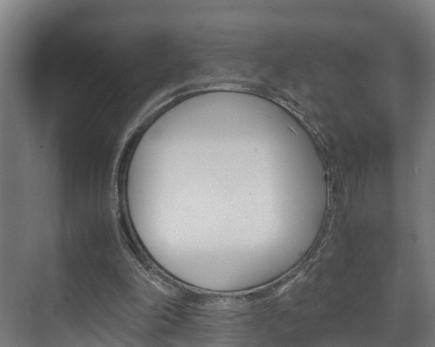 X0000075840198200609150920