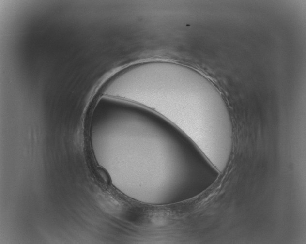 X0000075840200200609150920