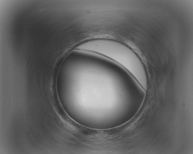 X0000075840201200609150920