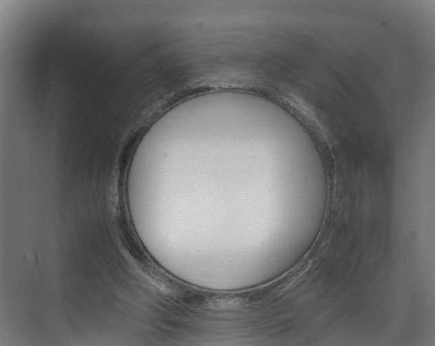 X0000075840202200609150920