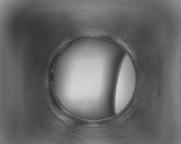 X0000075840203200609150920