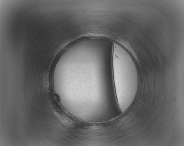 X0000075840204200609150920