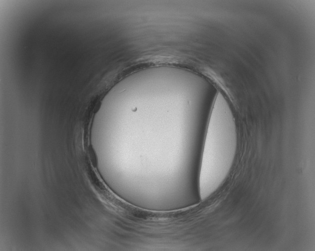 X0000075840205200609150920