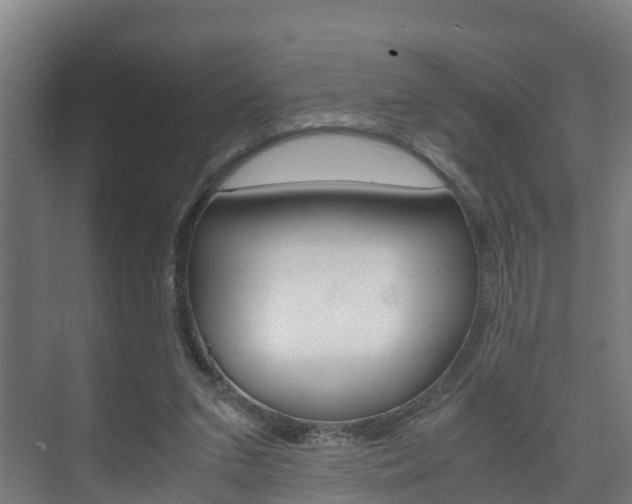 X0000075840207200609150920