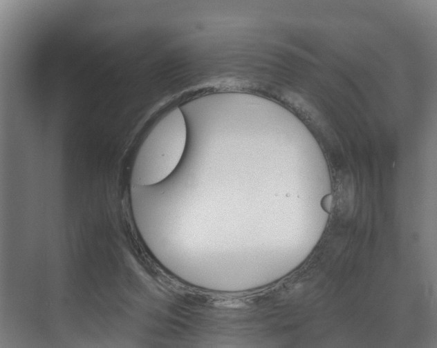 X0000075840208200609150920