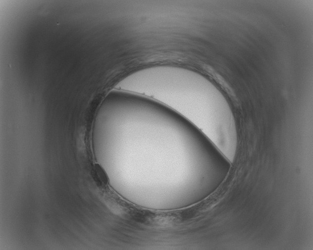 X0000075840209200609150920