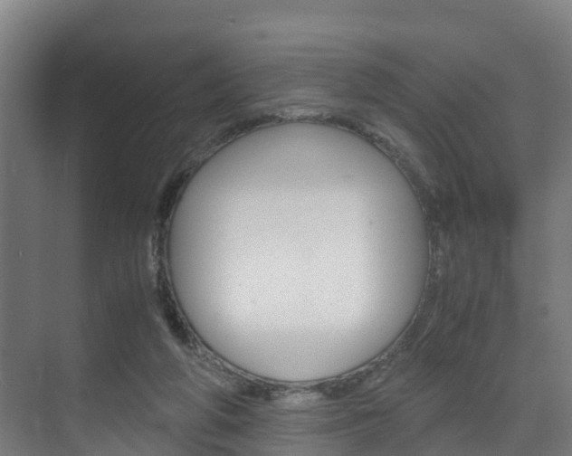 X0000075840210200609150920