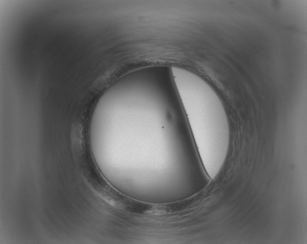 X0000075840211200609150920