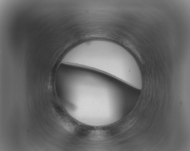 X0000075840212200609150920