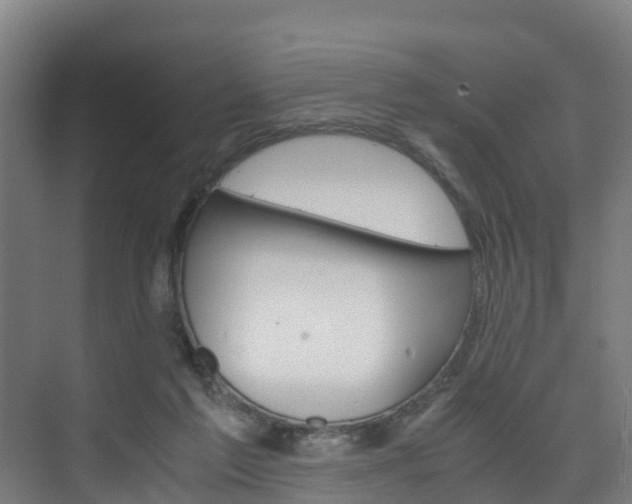 X0000075840213200609150920