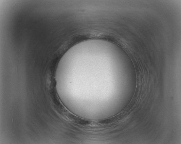 X0000075840215200609150920