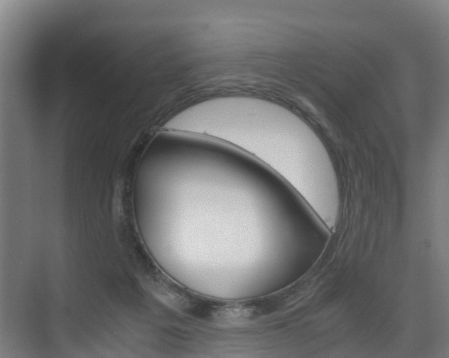 X0000075840217200609150920