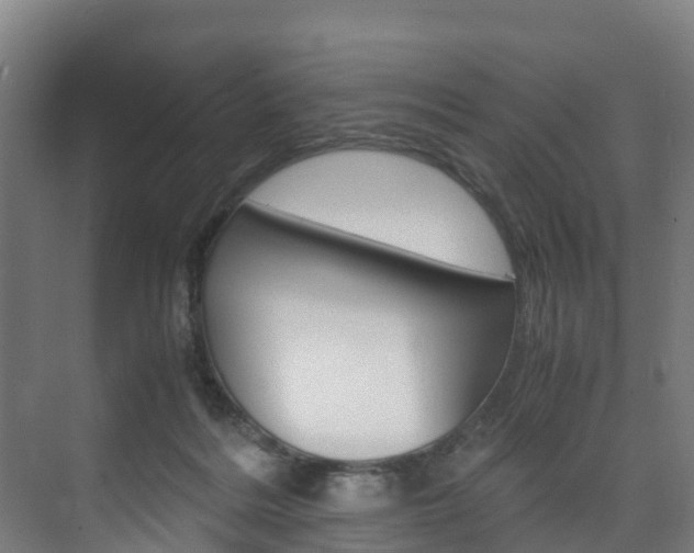 X0000075840220200609150920