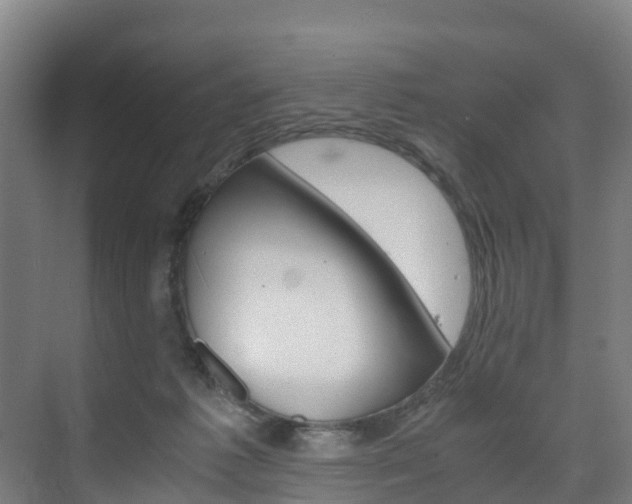 X0000075840221200609150920