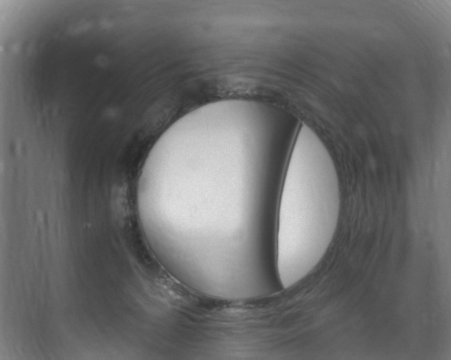 X0000075840224200609150920