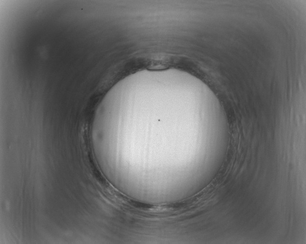 X0000075840225200609150920