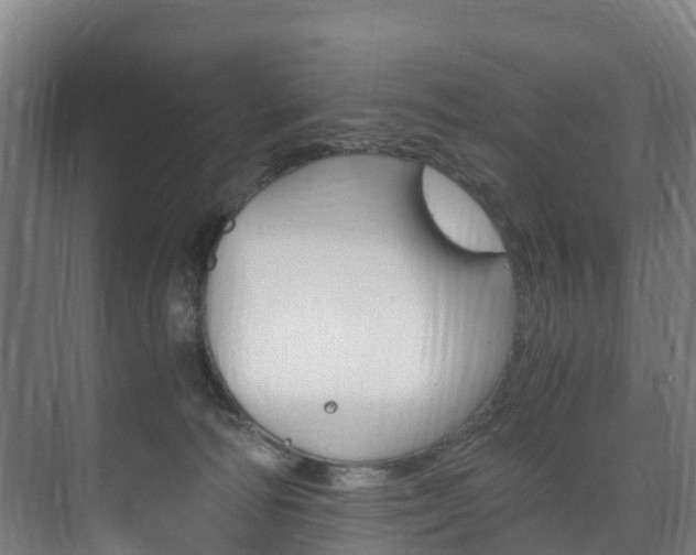 X0000075840226200609150920