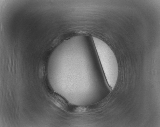 X0000075840227200609150920