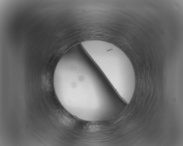 X0000075840228200609150920