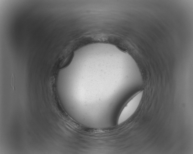 X0000075840229200609150920