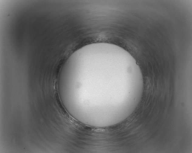 X0000075840230200609150920