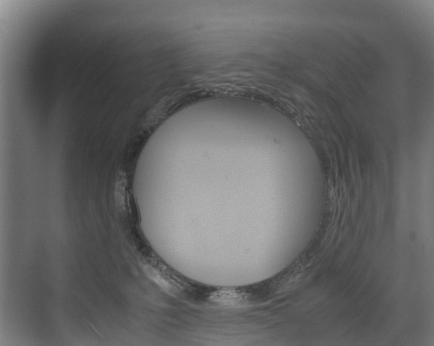 X0000075840231200609150920