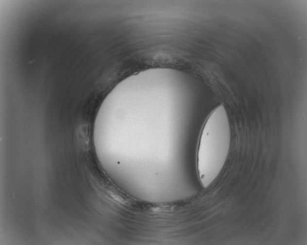 X0000075840232200609150920